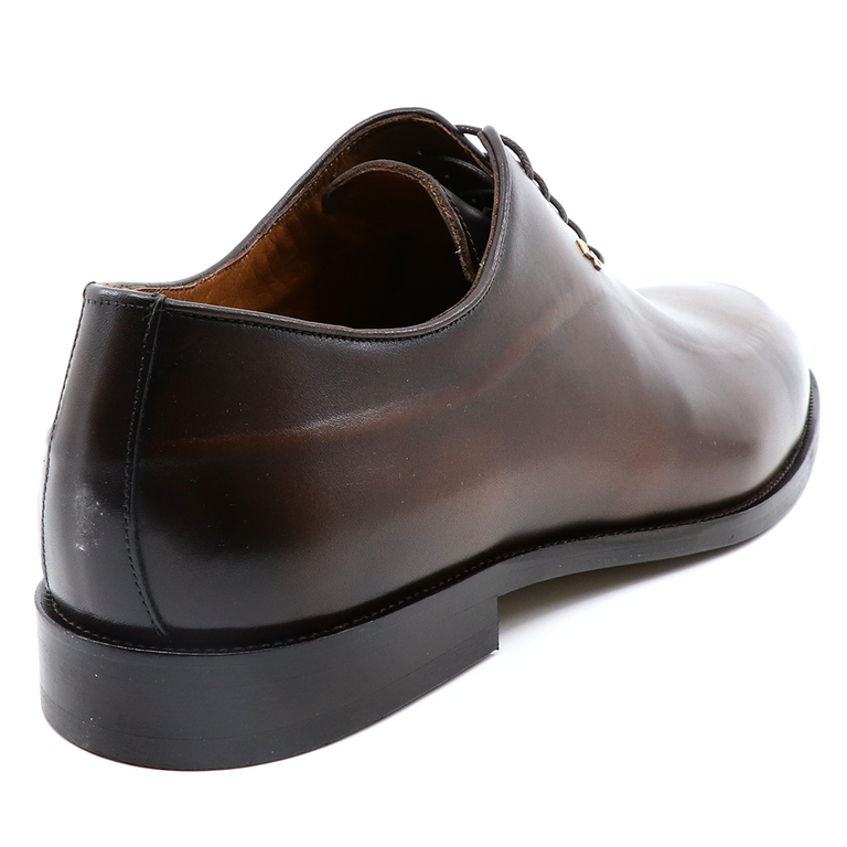 Pantofi oxford bărbați  Enzo Bertini maro din piele 3384BP2435M