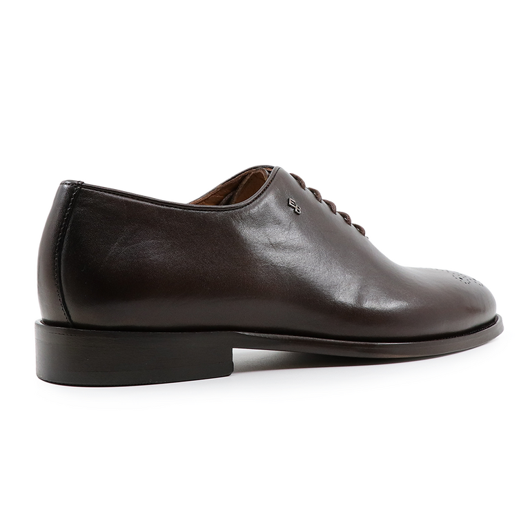 Pantofi oxford bărbați Enzo Bertini maro din piele 3383BP2475M