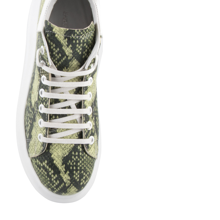 Pantofi femei Enzo Bertini snake print verde din piele 2418DP209420CV