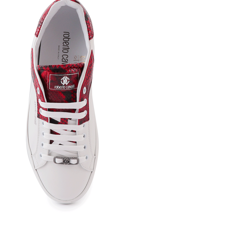 Pantofi sport bărbați Roberto Cavalli albi din piele cu detalii snake print roșii 3491BP10728A